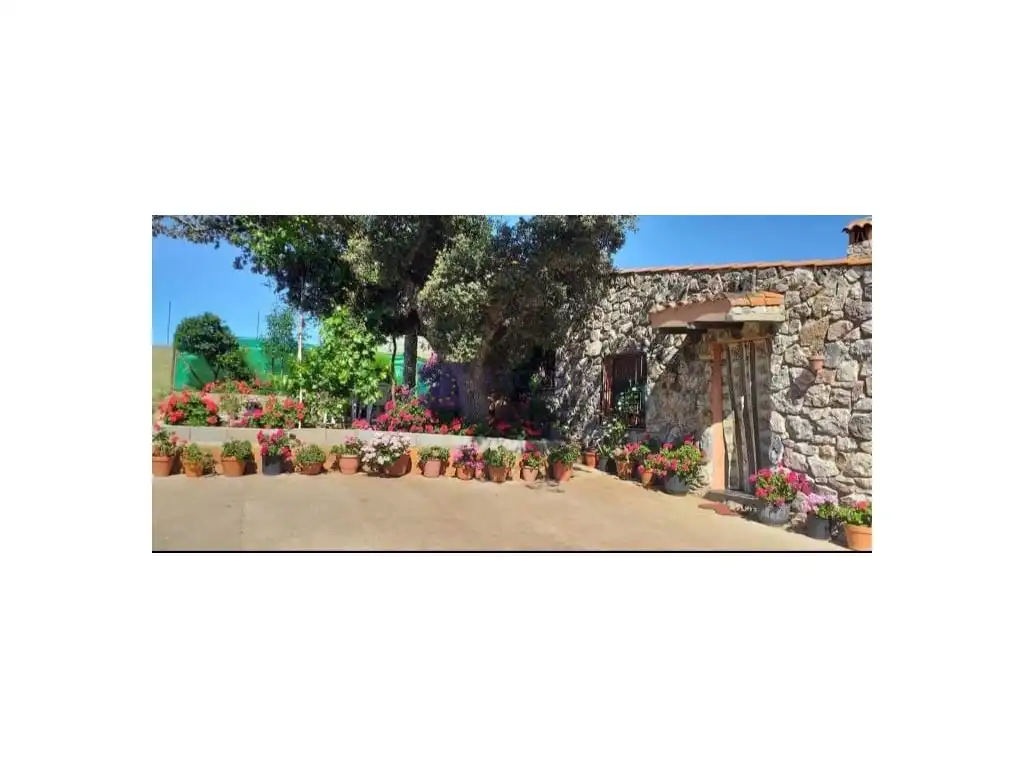 Casa o chalet en venta en Jaraicejo