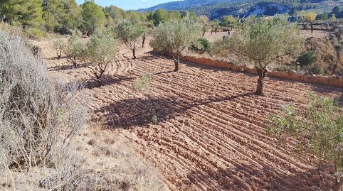 Venta de finca rustica para construir una vivienda unifamiliar u organizar un proyecto turístico, immagine 3