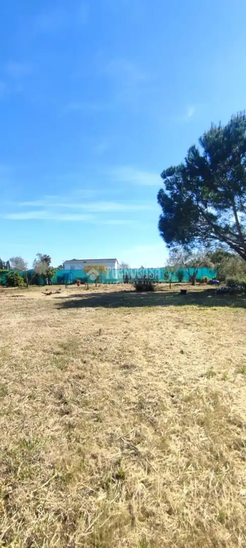 Land for sale in Alcalá de Guadaira