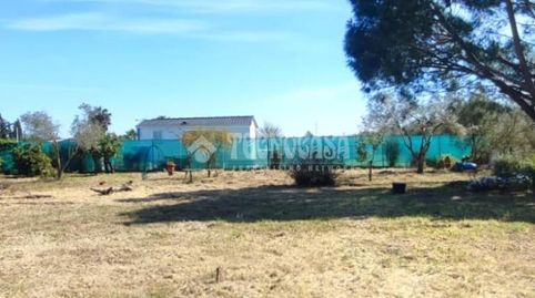 Photo 3 of Land for sale in Oromana, Alcalá de Guadaira