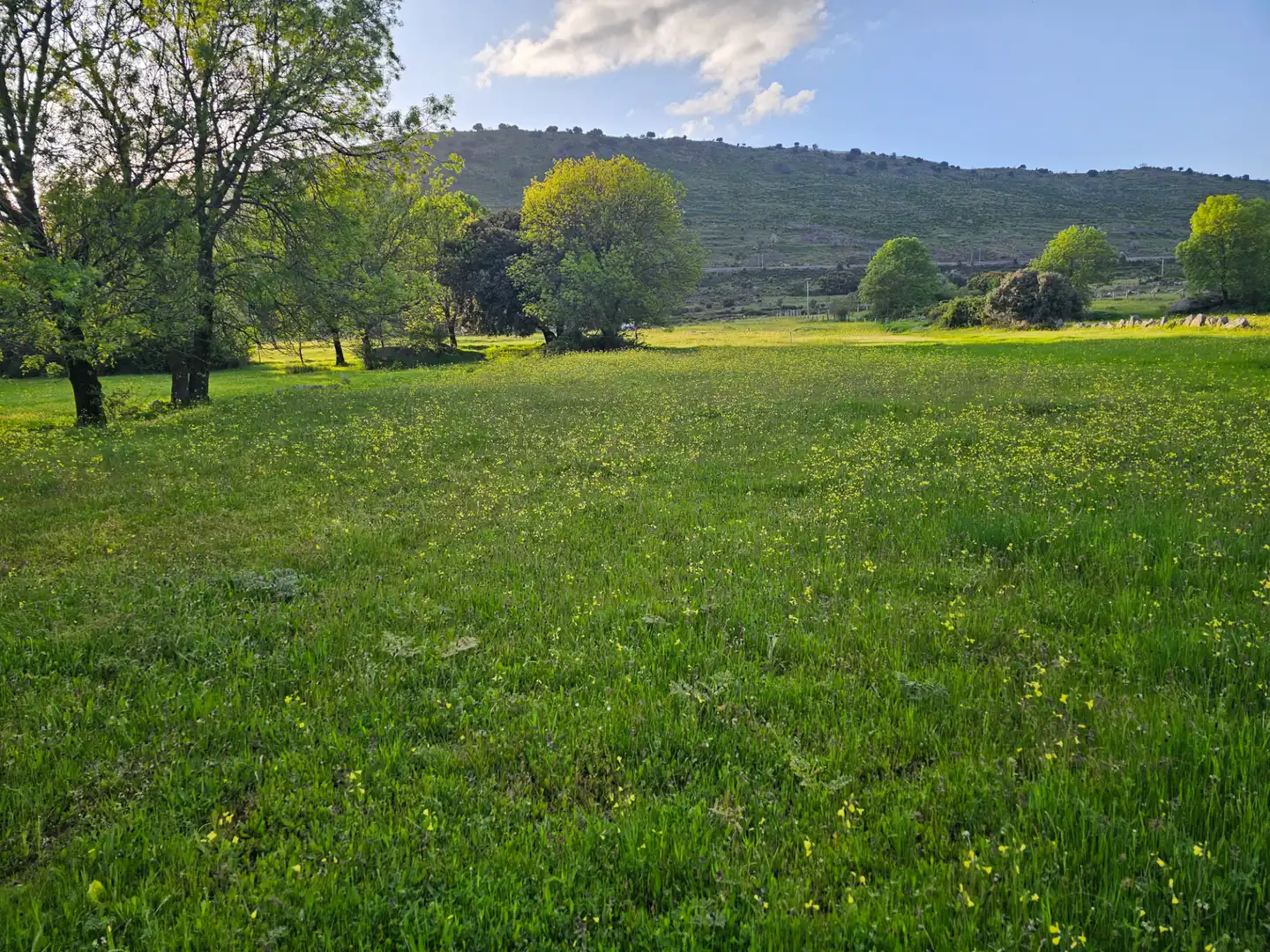 Rural land for sale in Zarzalejo, imagen 7