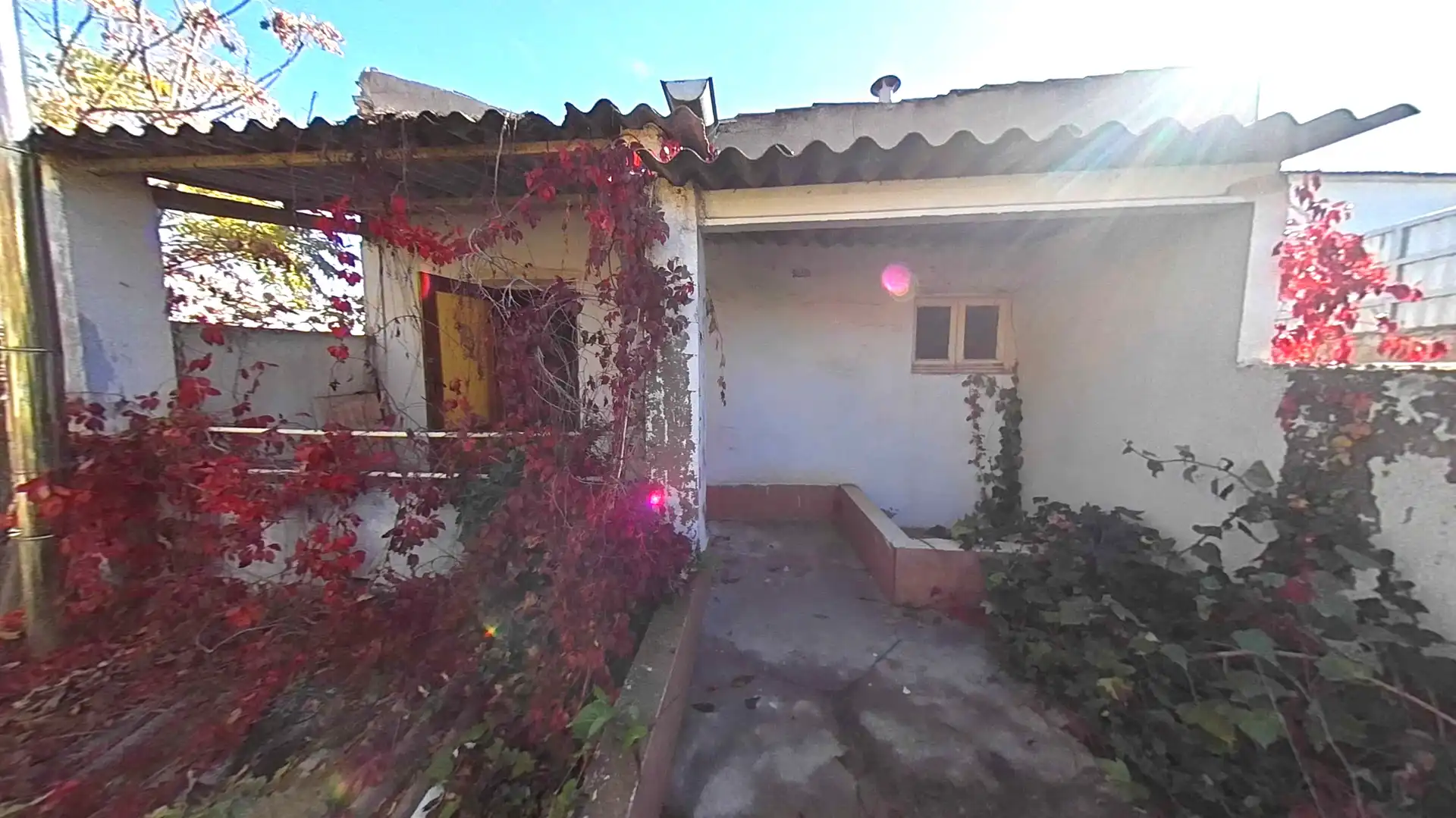 Garden of Houses for sale in Tomelloso  with Private garden, Terrace and Oven