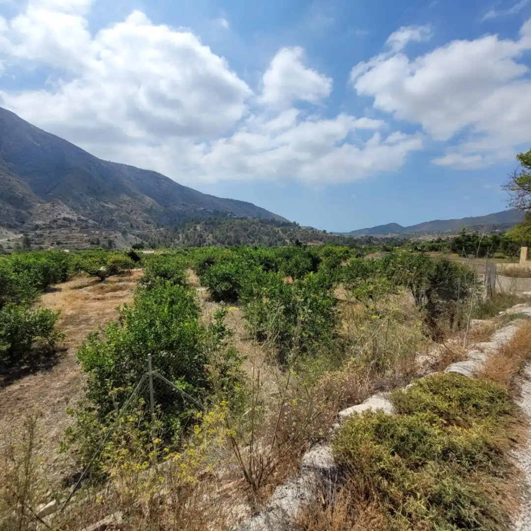 Terrenos y solares en venta en Orxeta