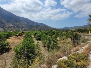 Terrenys i solars en venda a Orxeta