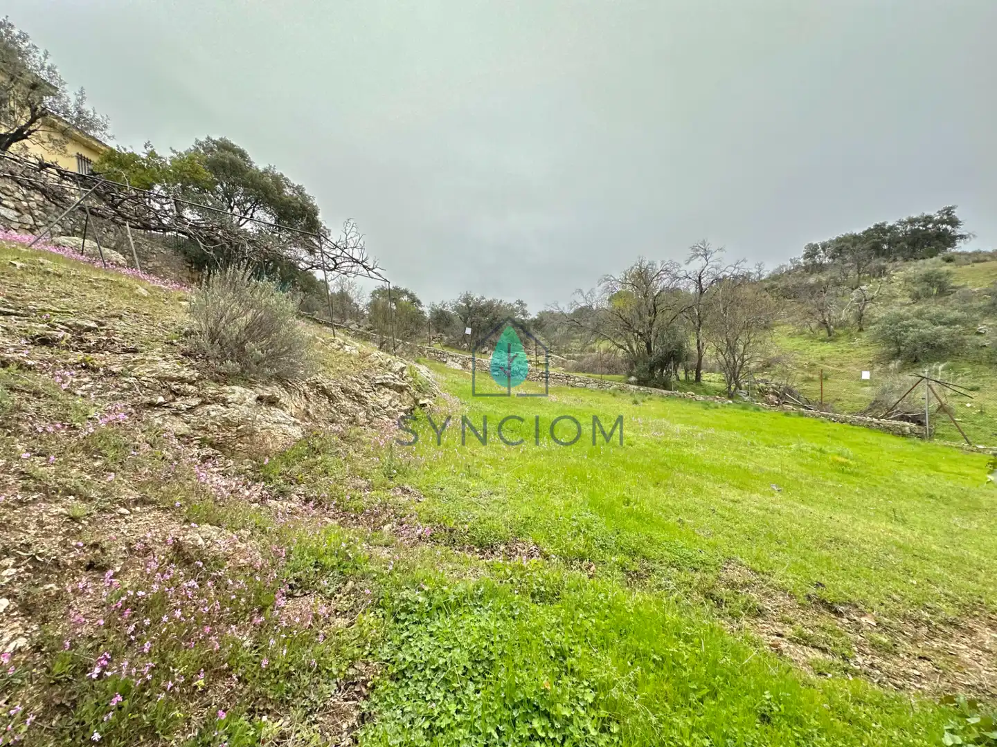 Casa o chalet en venta en Avenida de Peguerinos, Cerro Alarcón