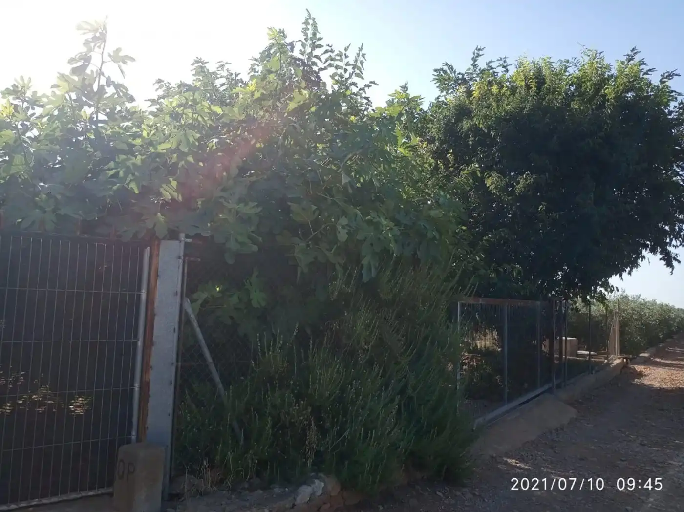 Terreny rústic en venda a Norte, imagen 3