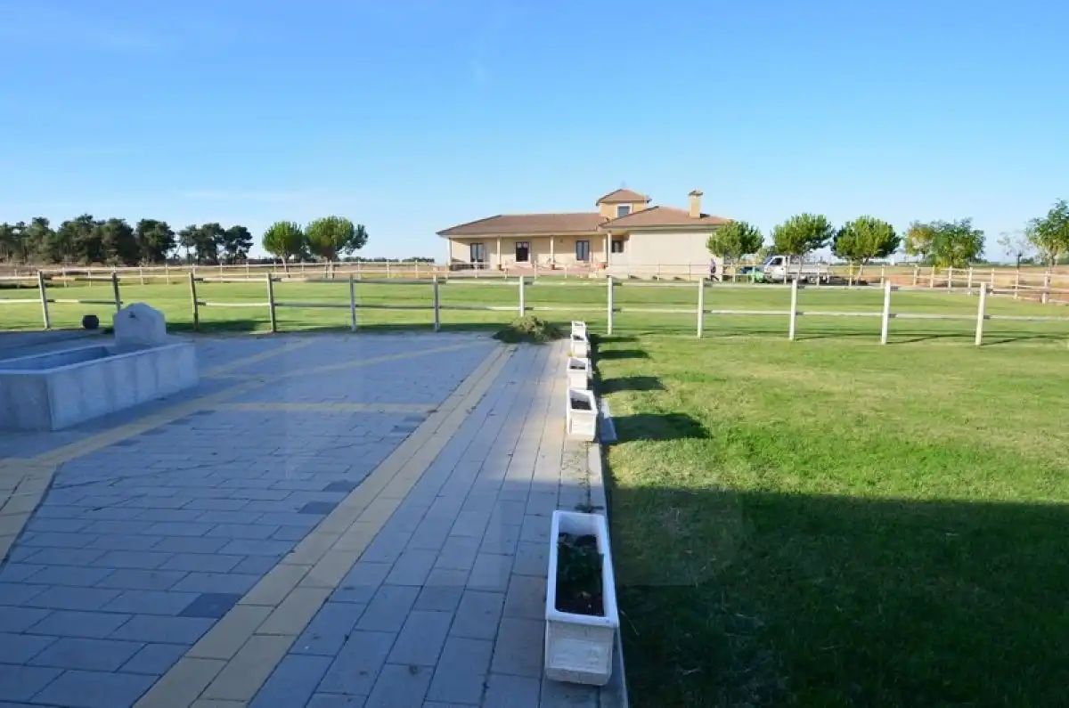 Finca rústica en venta en EXTRARRADIO, Palacios de Goda