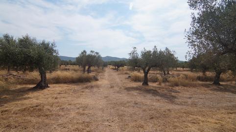 Photo 4 of Country house for sale in N/a, -1, Tivissa, Tarragona