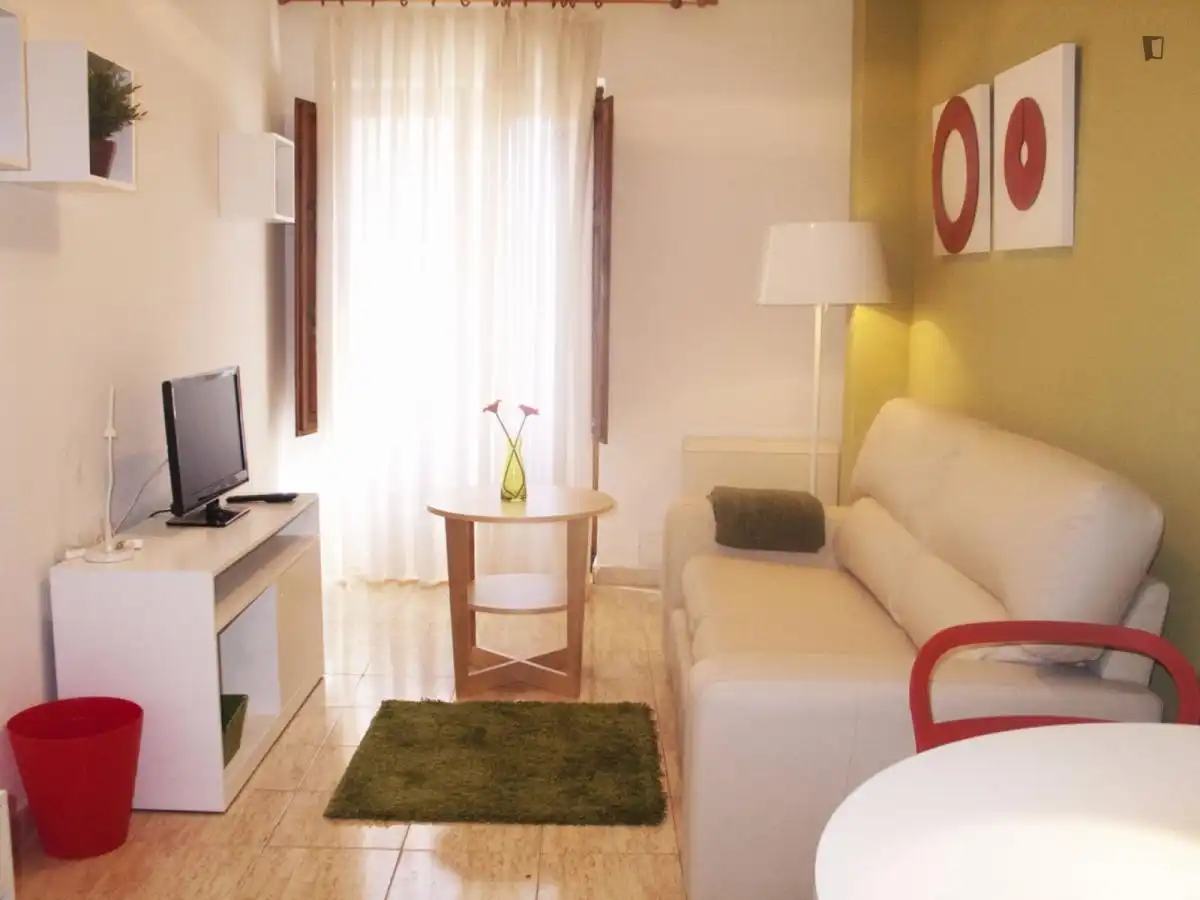 Appartement compact avec ascenseur à louer à Centro, imagen 9