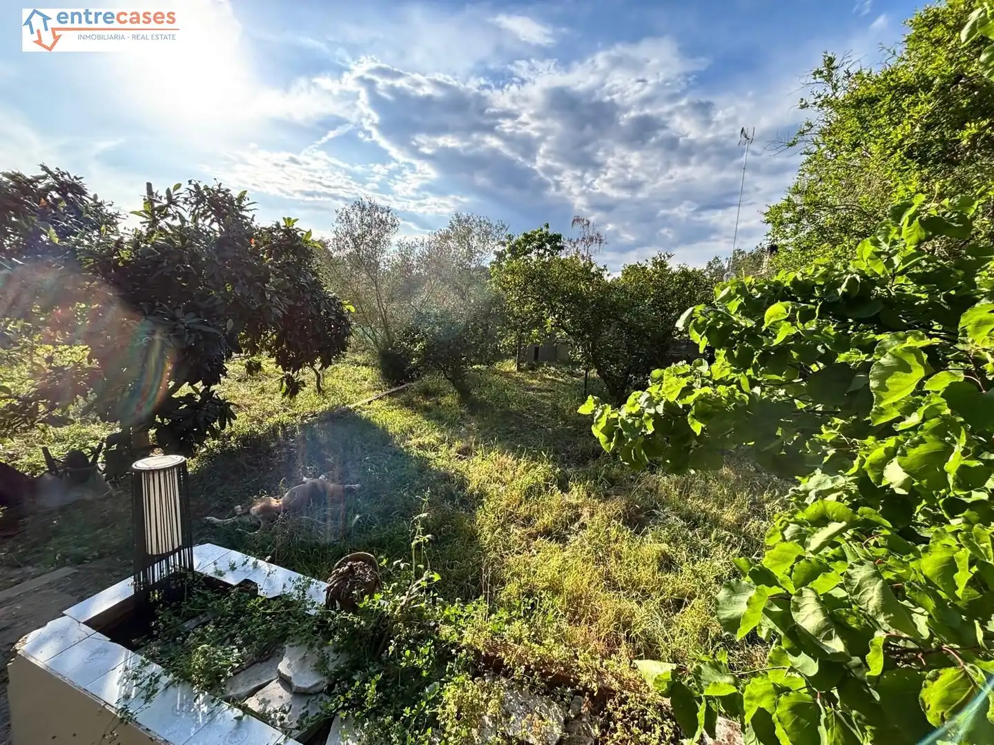 Finca rústica en venda en Sagunto / Sagunt amb Aire condicionat, Terrassa i Piscina