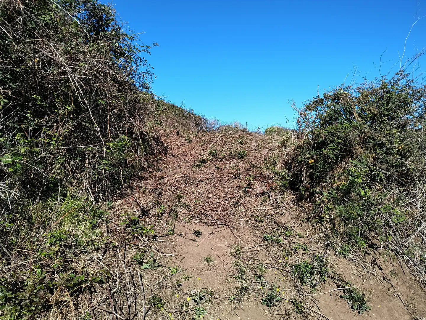 Terreny rústic en venda a Carretera General Ochocientos Veinte 76, imagen 33