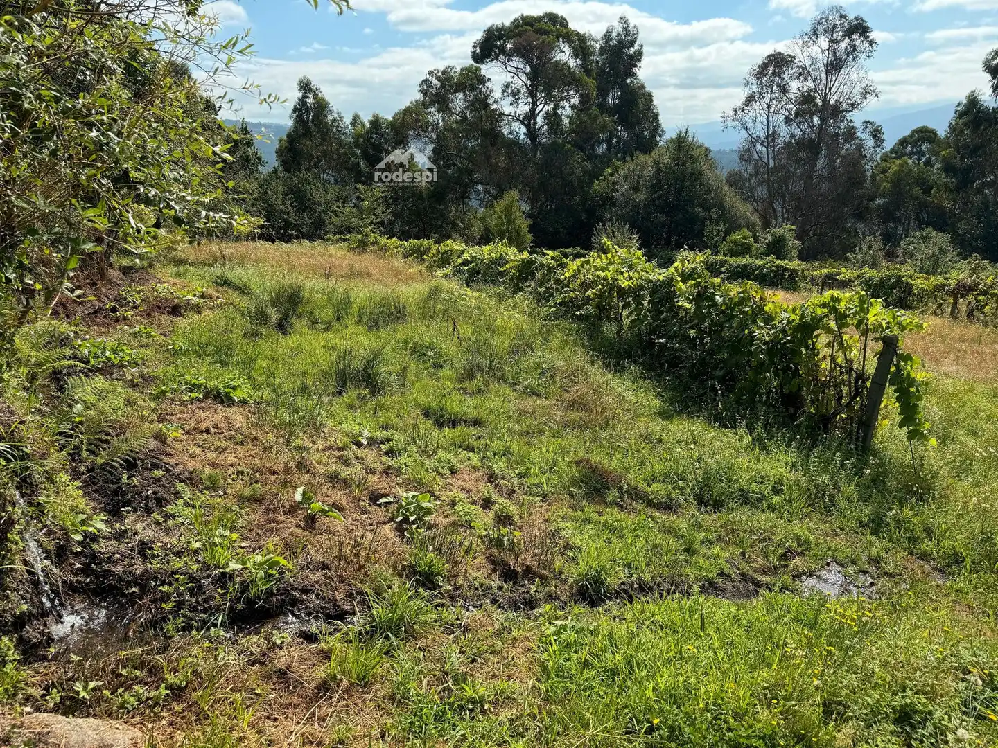 Xalet en venda a A Cañiza, imagen 48
