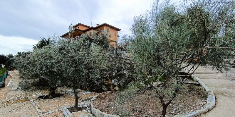 Jardí de Casa o xalet en venda en Belvís de la Jara amb Aire condicionat, Jardí privat i Terrassa