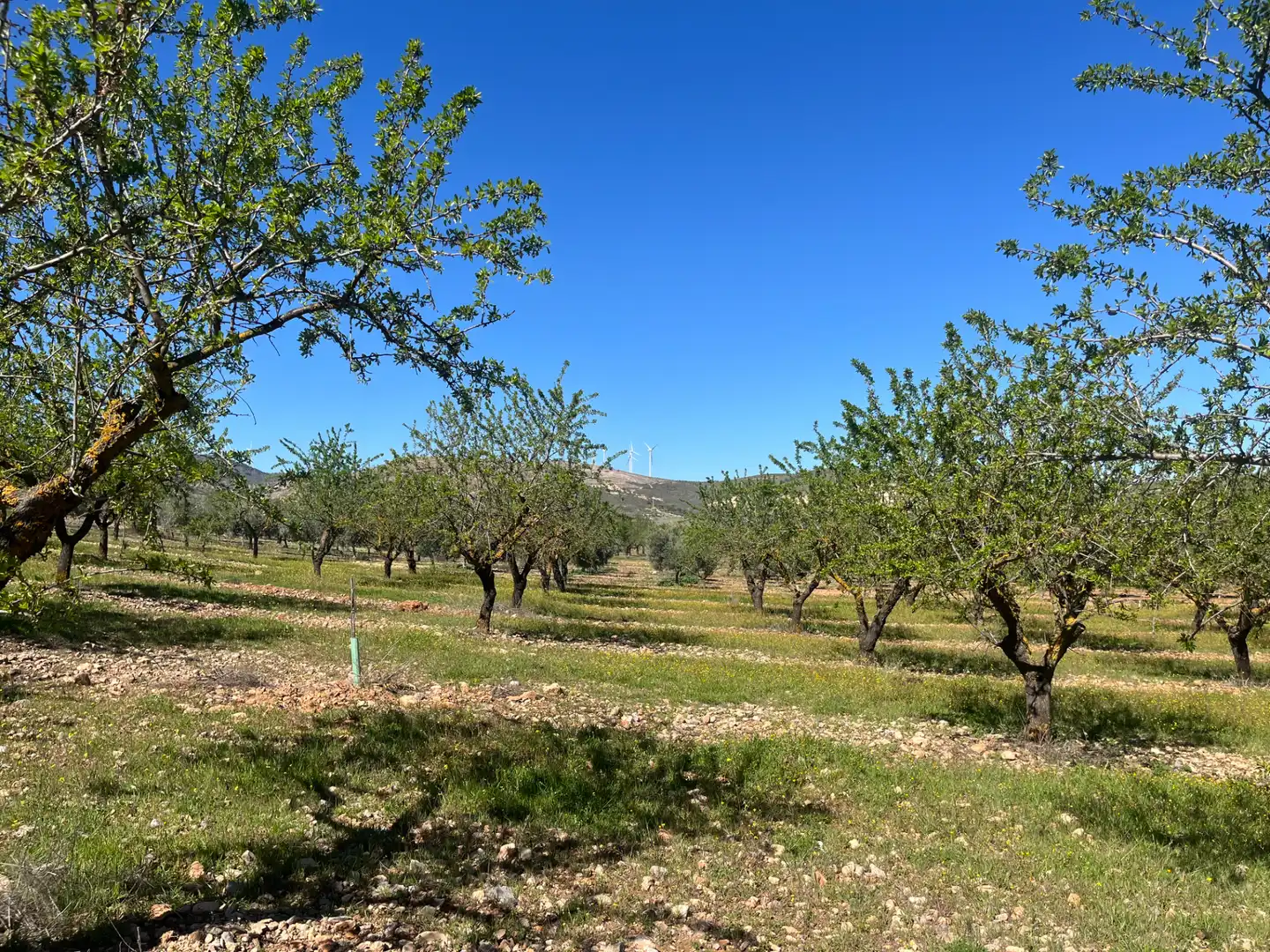 Rustikales Grundstück zum Verkauf in Camino de la Sierra, imagen 10