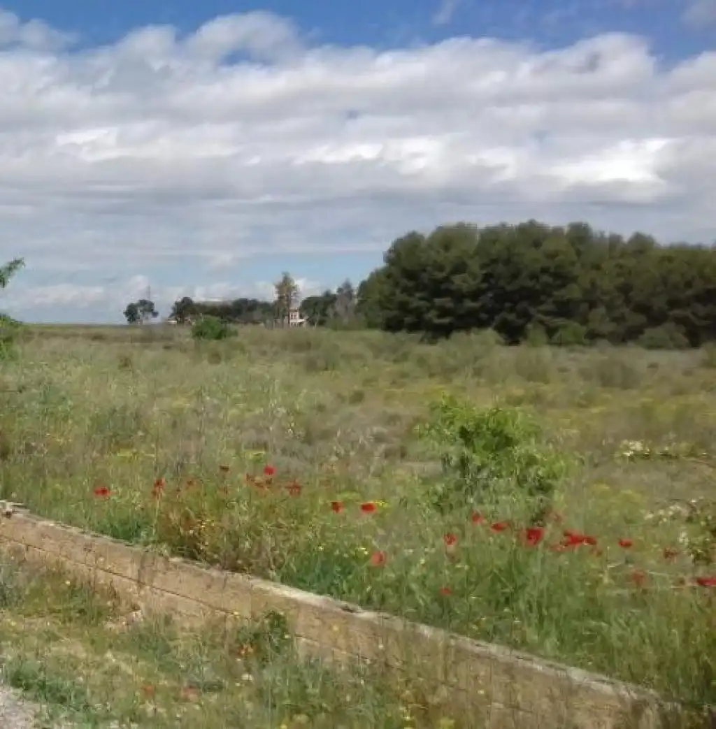 Rural land for sale in CERDERA BAIXA, imagen 2