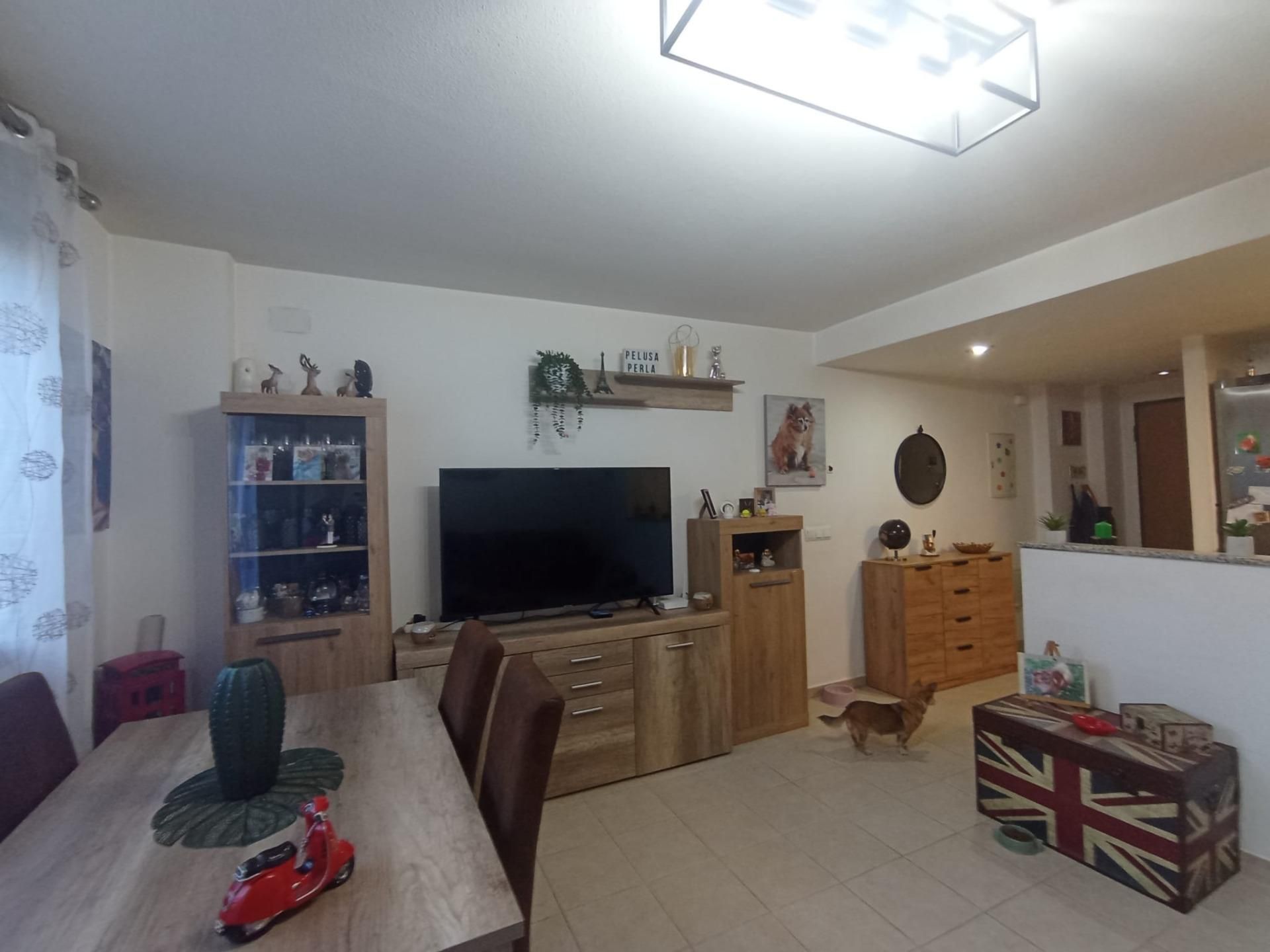 Living room of House or chalet for sale in Aspe  with Air Conditioner, Terrace and Storage room