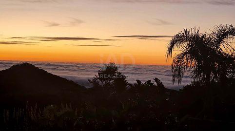 Photo 4 of Houses for sale in El Cuartón - El Bujeo, Tarifa