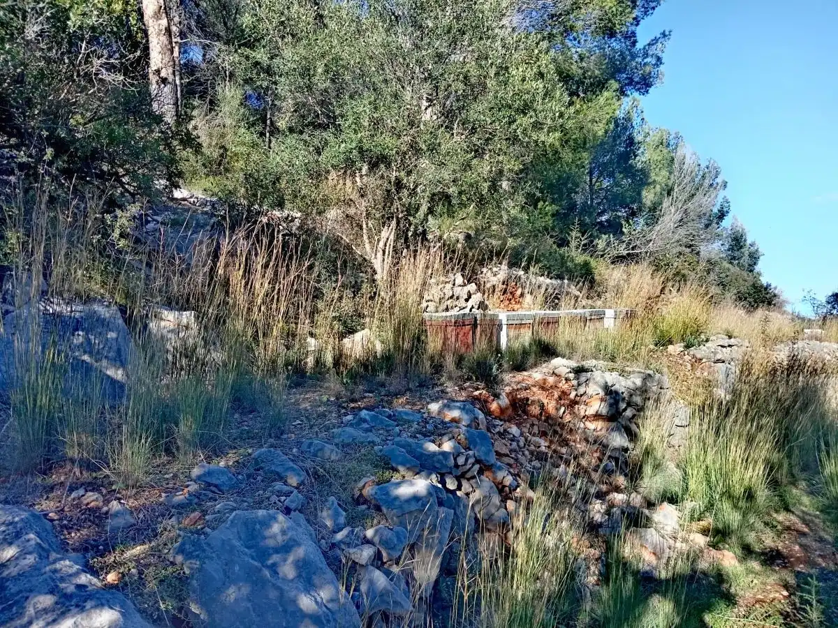 Terreny rústic en venda a Alcalalí, imagen 4