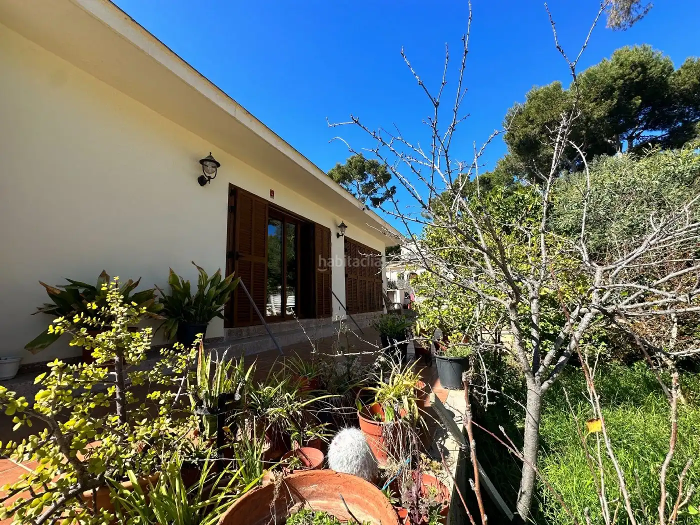 Villa mit Garten zum Verkauf in Via Cornisa 32, imagen 5