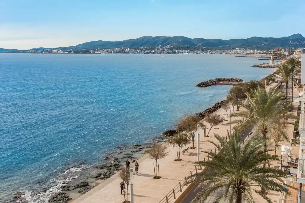 Terreny rústic en venda a Platja de Palma, imagen 4
