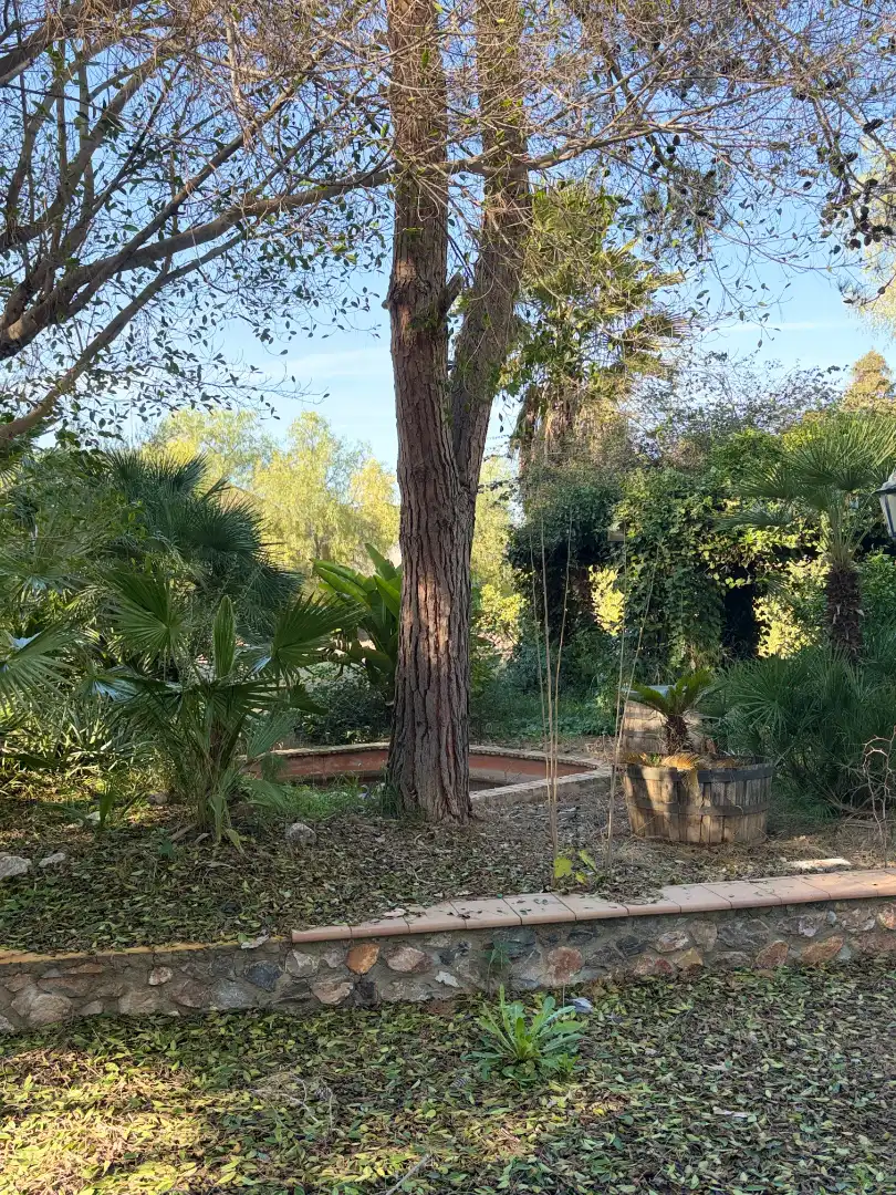 Lands and plots for sale in Abanilla, imagen 23
