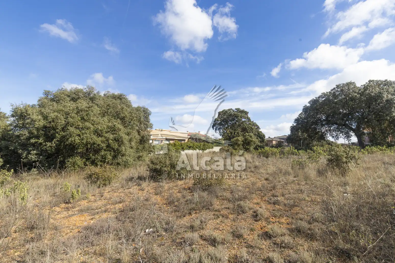 Residential land for sale in Chiloeches, imagen 23