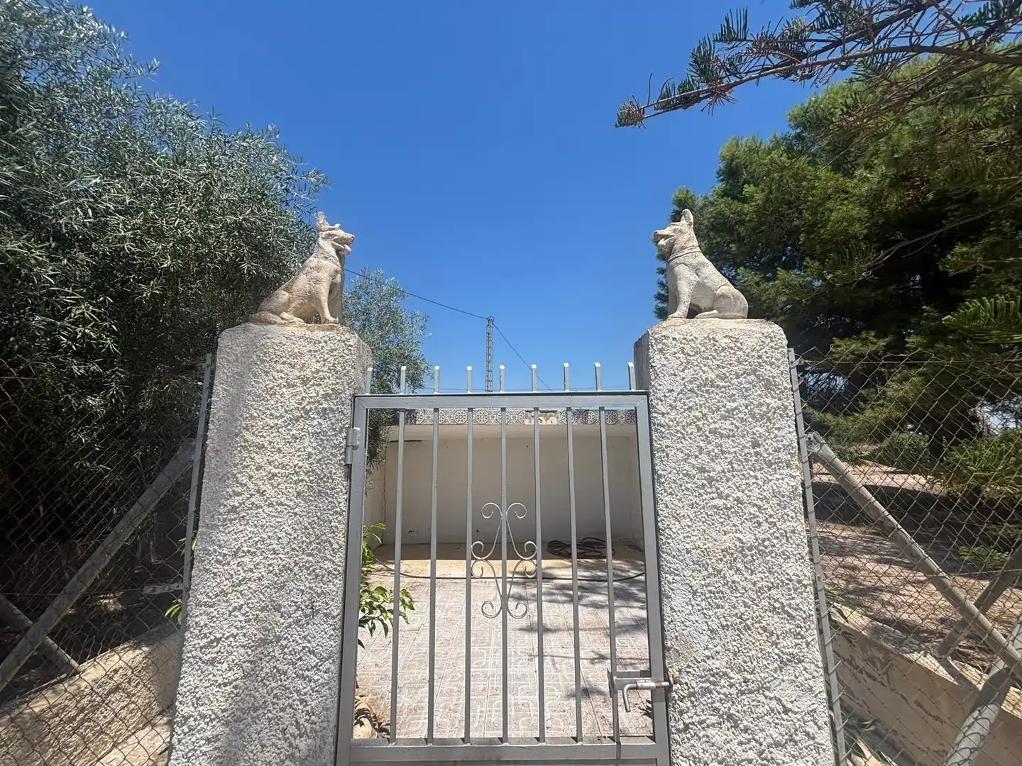 Exterior view of Houses for sale in Elche / Elx