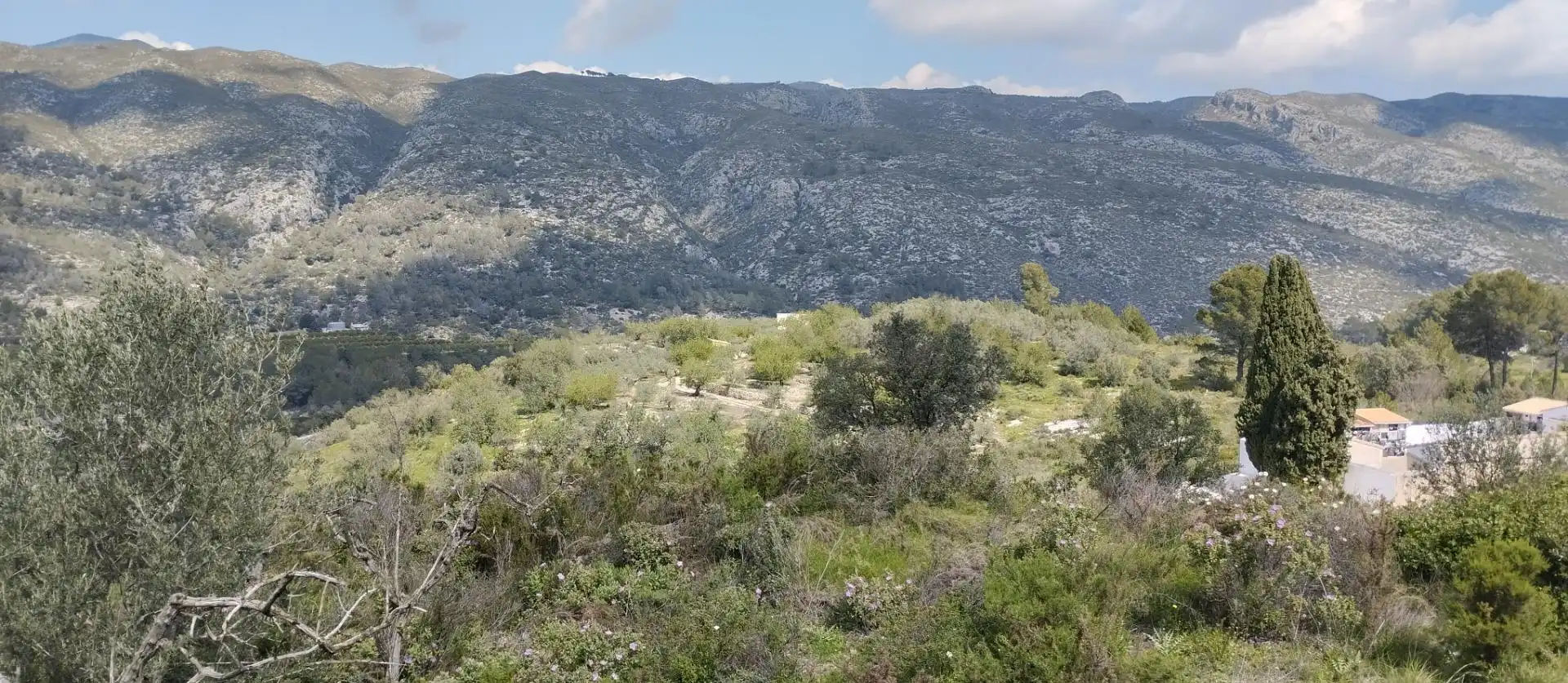 Terreny rústic en venda a La Vall de Gallinera, imagen 4
