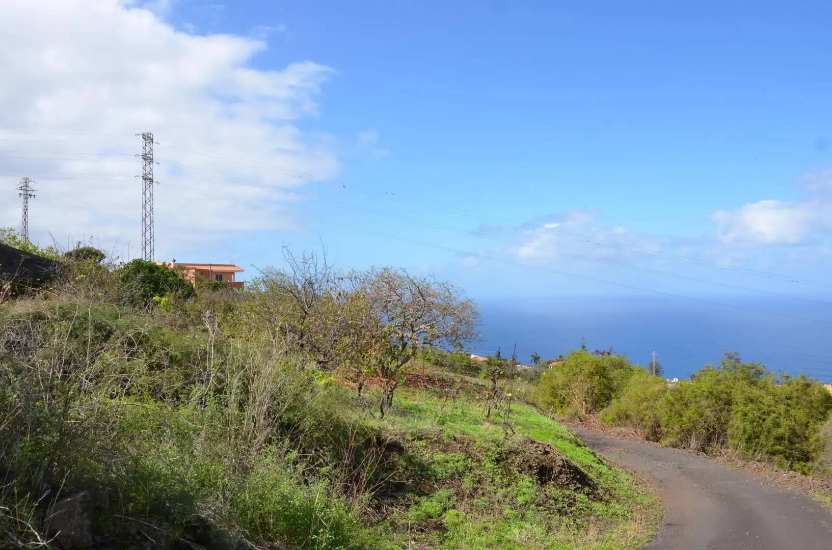 Vista exterior de Casa o chalet en venta en Santa Úrsula con Jardín privado, Terraza y Trastero