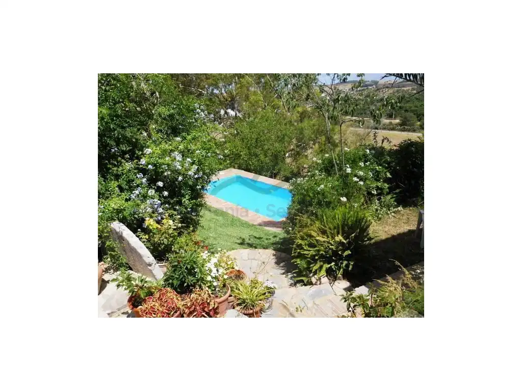 Swimming pool of Houses for sale in Jimena de la Frontera