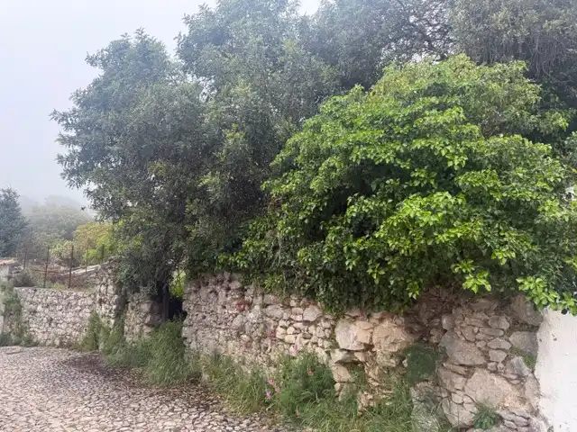 Terreni e lotti in vendita a Puente la Trampilla, imagen 7