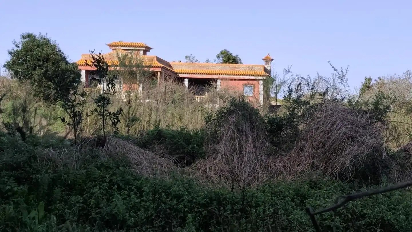 Vista exterior de Finca rústica en venda en El Tanque