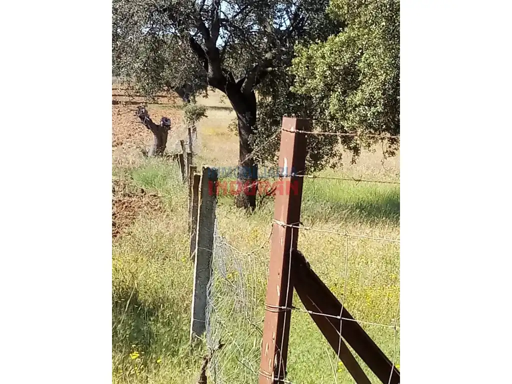 Finca rústica en venda en Alcolea de Tajo