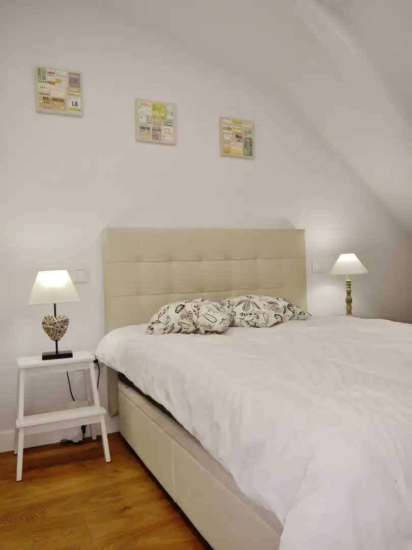 Bedroom of Attic for rent in Madrid  with Air Conditioner, Heating and Furnished