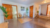 Casa o xalet en venda en Elche / Elx amb Terrassa, Traster i Piscina