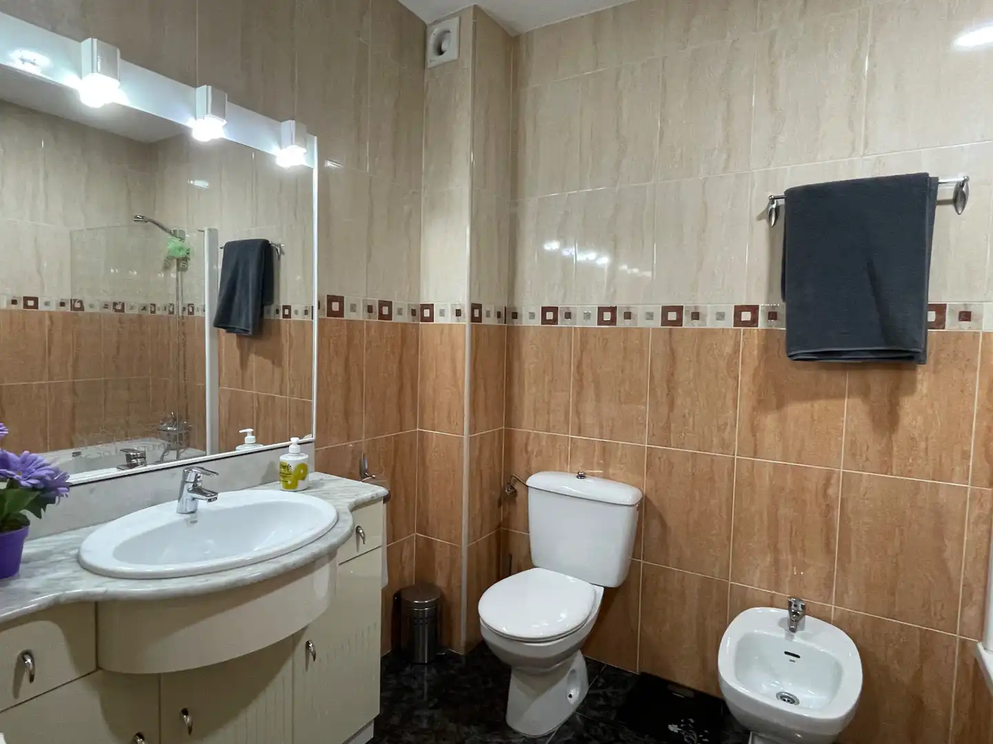 Bathroom of Detached homes for sale in Olot, Girona