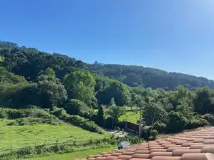 Gewerbefläche zur Miete in Gatzarriñe Kalea, imagen 5
