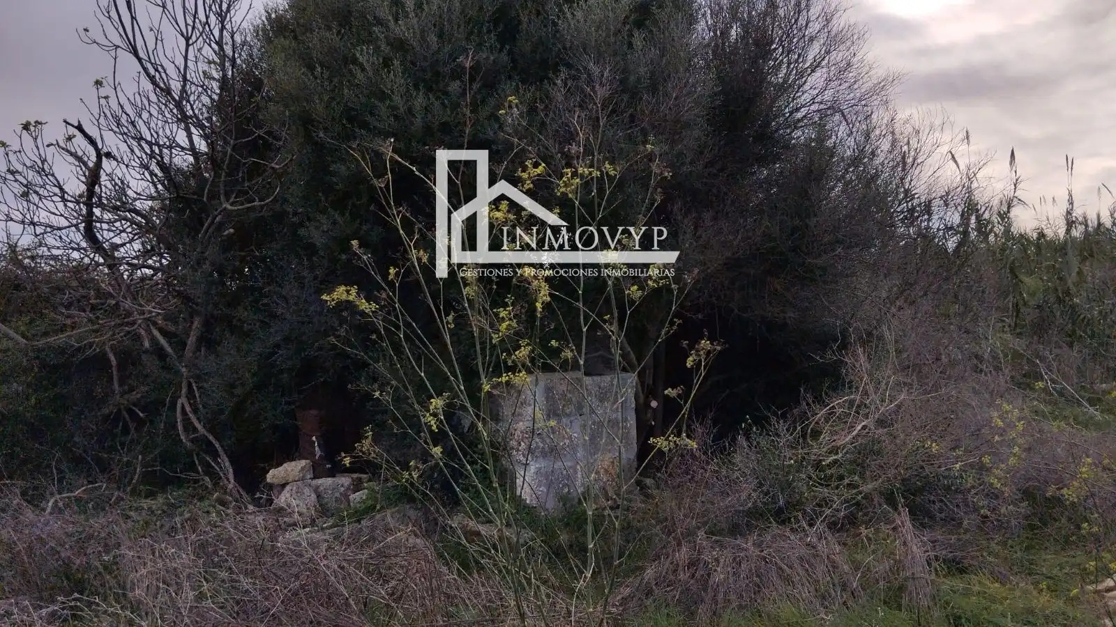 Country house zum Verkauf in POLIGONO 14. 311, 312, 313, Sa Pobla
