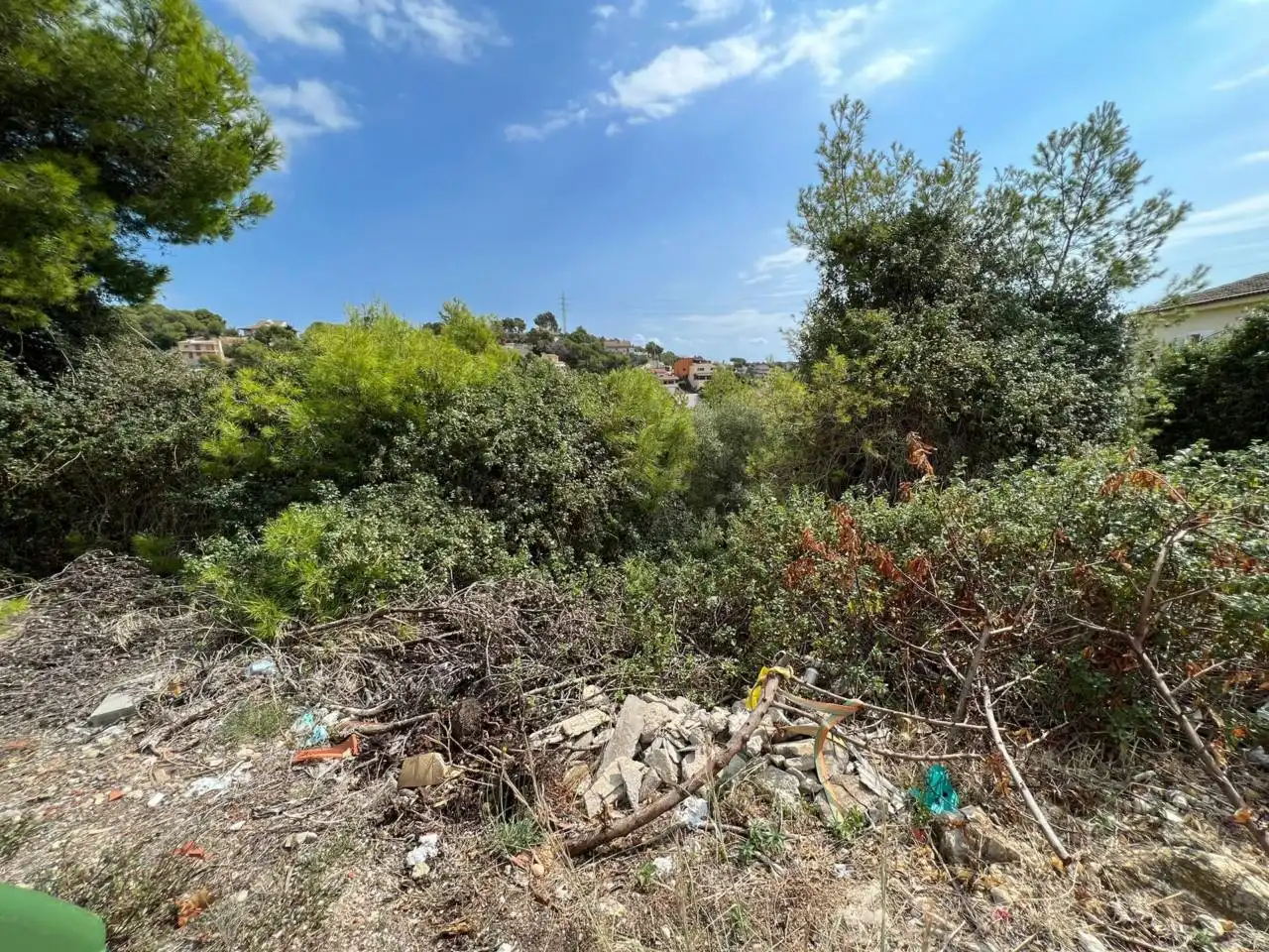 Terrain rustique à vendre à Calle VELAZQUEZ 24, imagen 9