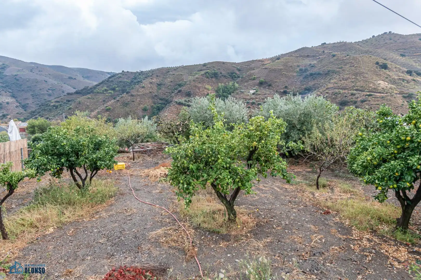 Finca rústica en venda en Sorvilán