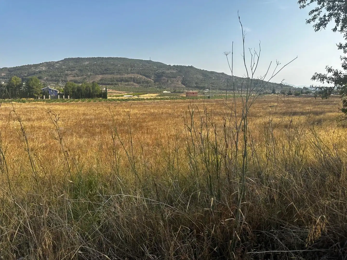 Residential land for sale in El Pinós / Pinoso, imagen 8