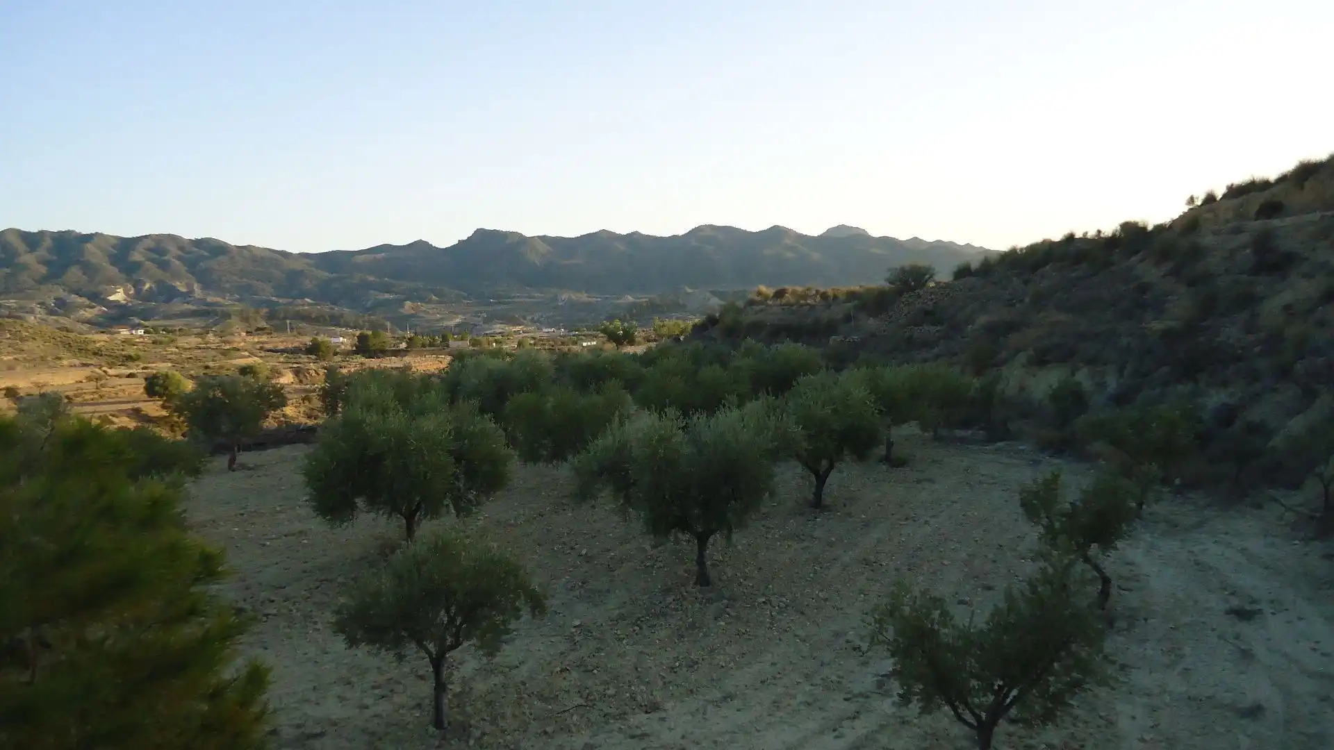 Lands and plots for sale in Abanilla, imagen 8