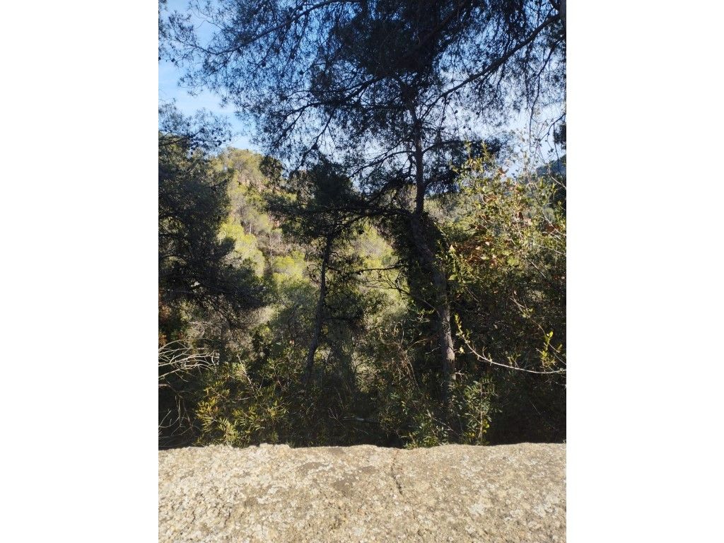 Residencial en venta en Avenida de los Valles, Monteamor - La Carrasca - El Peucal