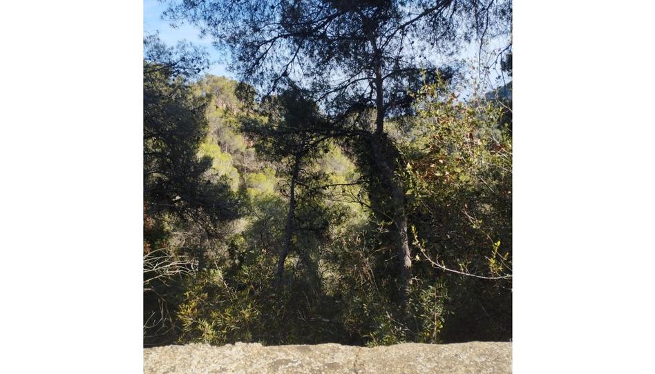 Foto 1 de Residencial en venta en Avenida de Los Valles, Monteamor - La Carrasca - El Peucal, Valencia