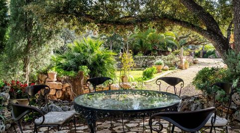 Encantadora finca con piscina en venta en Algaida, Mallorca, image 5