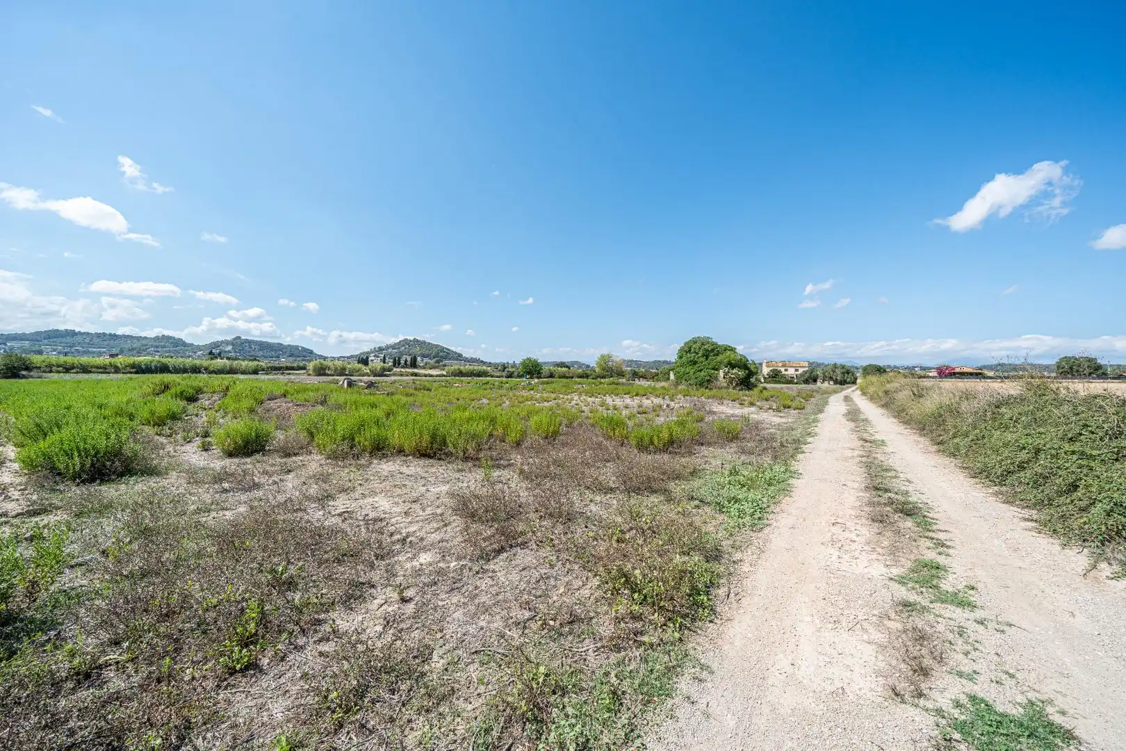 Rustikales Grundstück zum Verkauf in Polígono Sant Joan, imagen 7