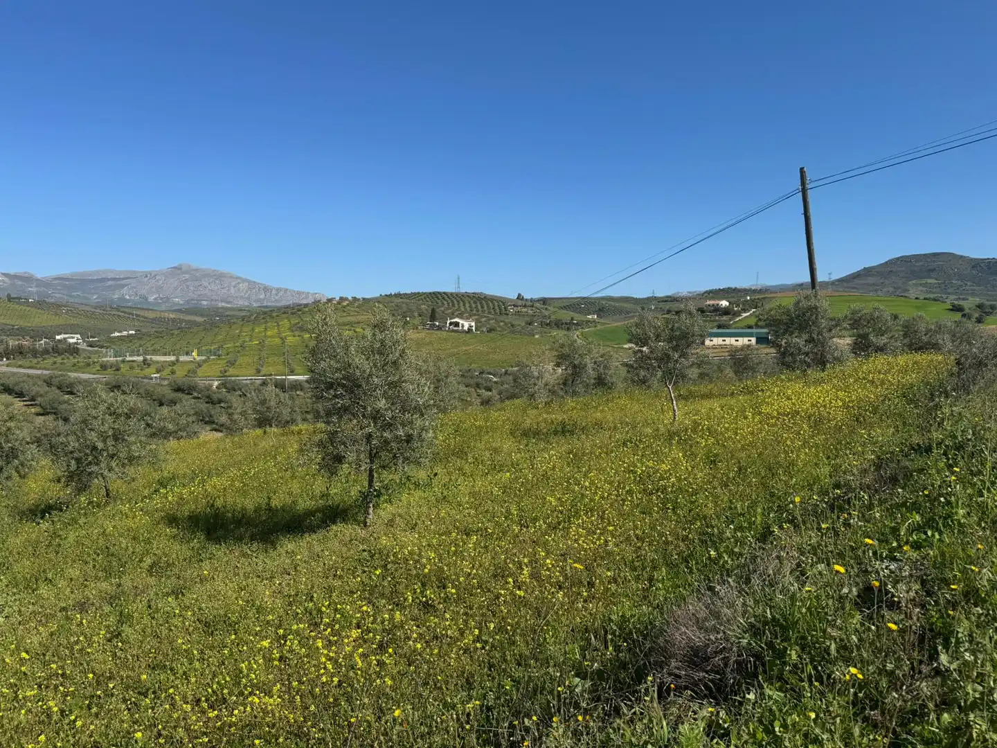 Terreni e lotti in vendita a Álora, imagen 7