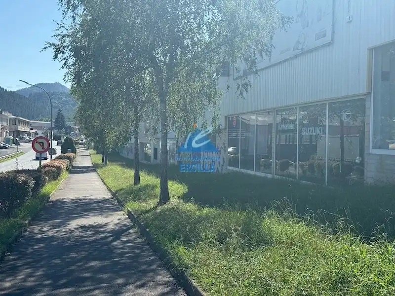 Exterior view of Industrial buildings for sale in Lemoa