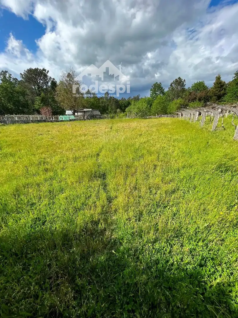 Terreny rústic en venda a Salvaterra de Miño, imagen 2