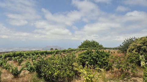 Foto 5 de Casa o chalet en venta en Camino de Jama, 17, Vilaflor de Chasna, Santa Cruz de Tenerife